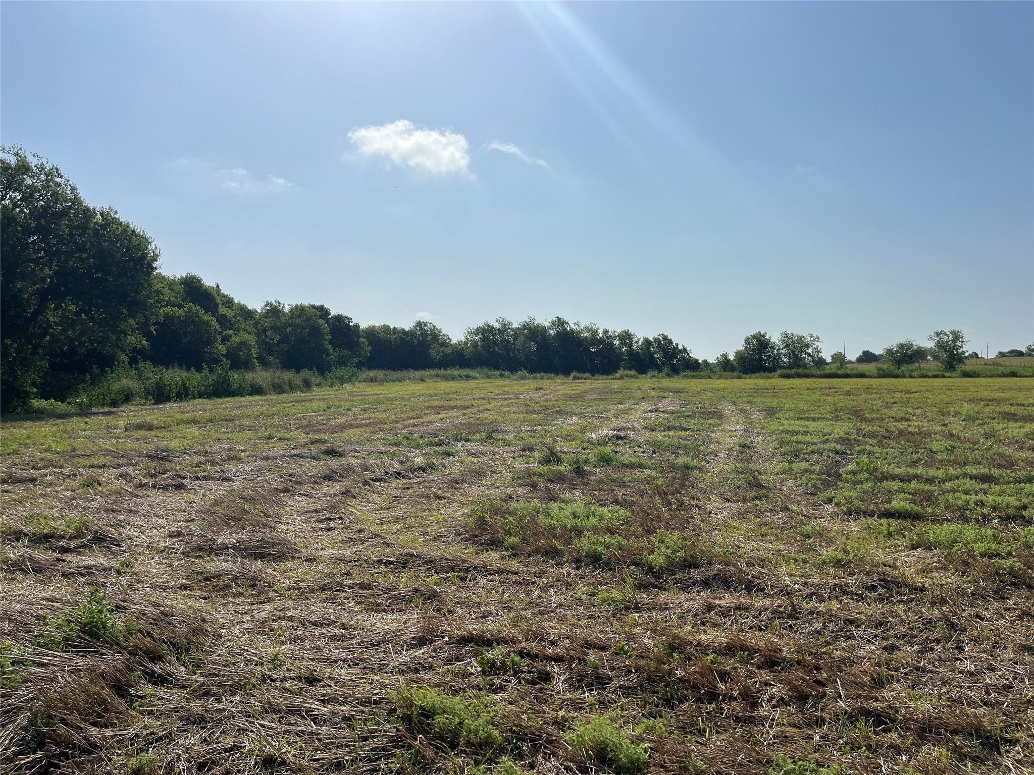 13000 Romberg Road Holland TX 76534