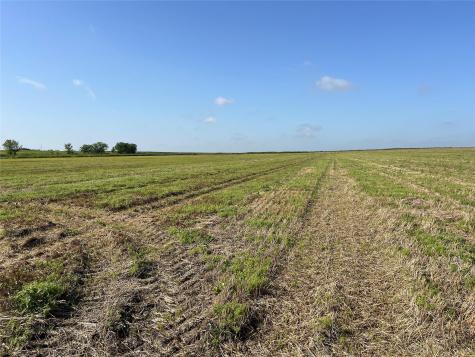 13000 Romberg Road Holland TX 76534