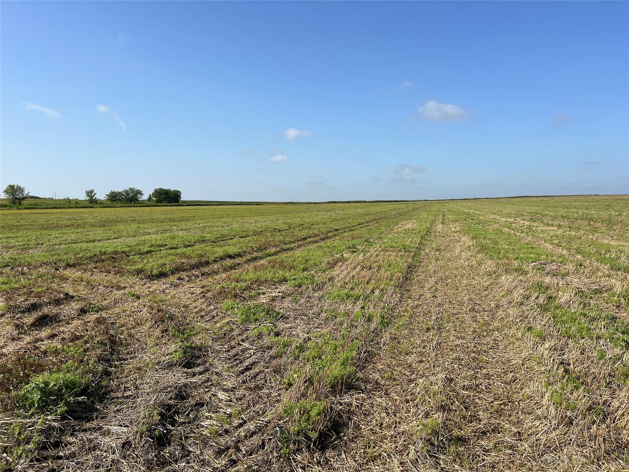 13000 Romberg Road Holland TX 76534