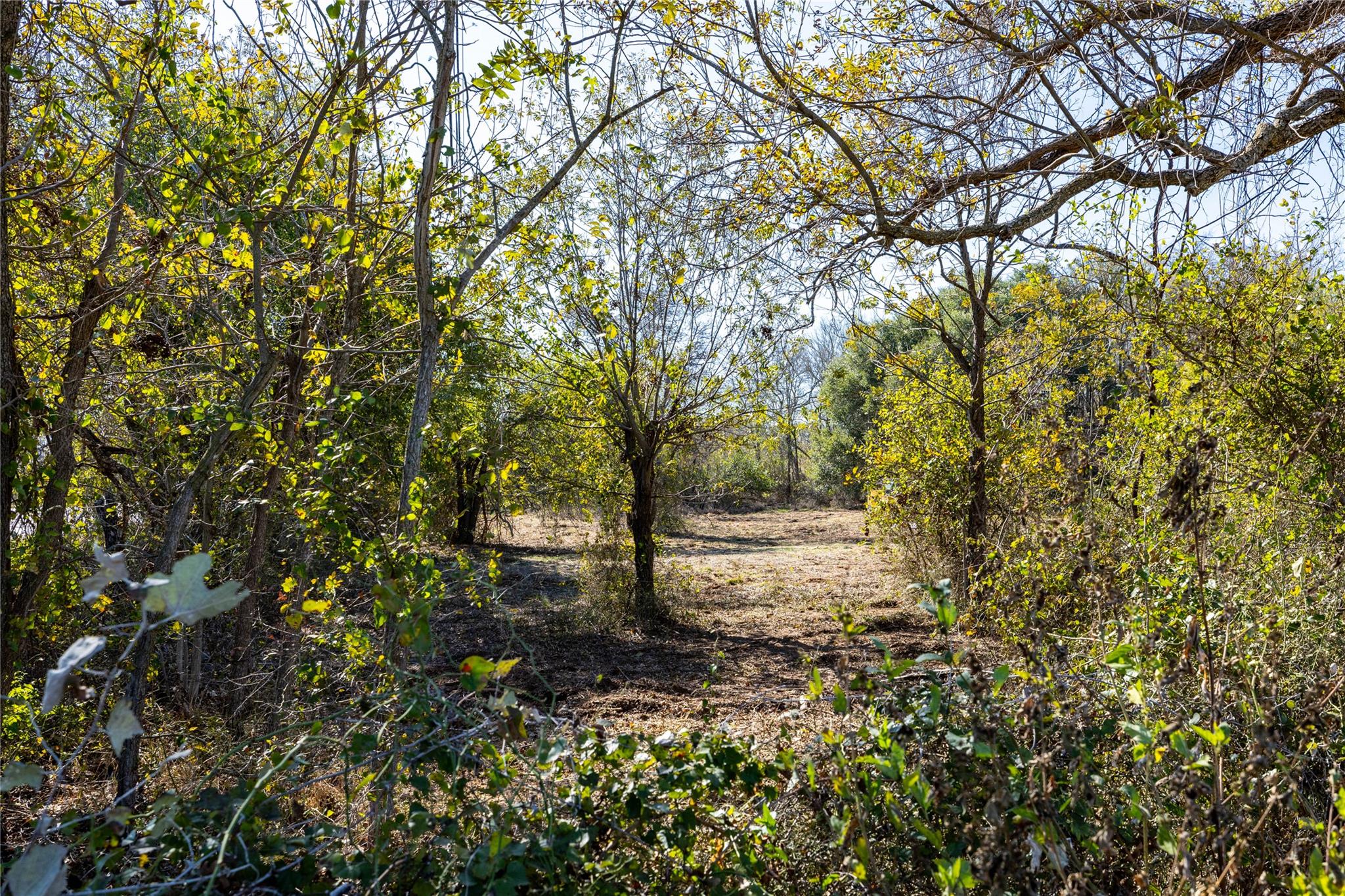 6635 S Us Highway 183 Lockhart TX 78644