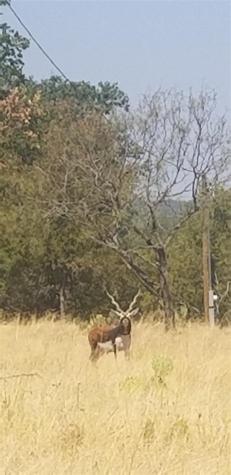 Lot 148 High Point Drive Kempner TX 76539