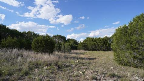 Lot 148 High Point Drive Kempner TX 76539
