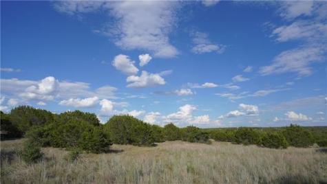 Lot 148 High Point Drive Kempner TX 76539