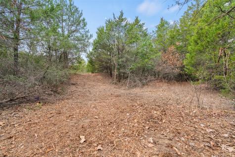 Tbd County Road 330 Milano TX 76556