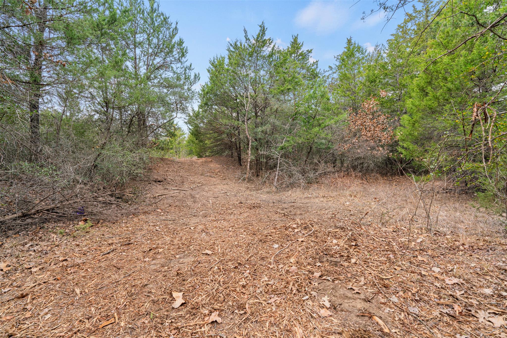 Tbd County Road 330 Milano TX 76556