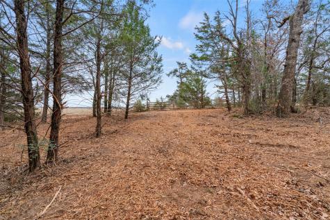 Tbd County Road 330 Milano TX 76556