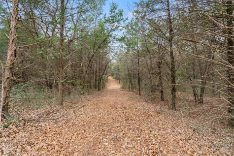 Tbd County Road 330 Milano TX 76556