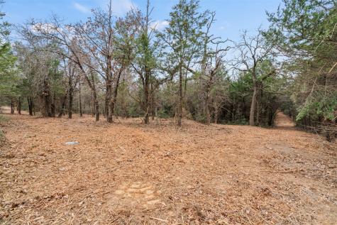 Tbd County Road 330 Milano TX 76556