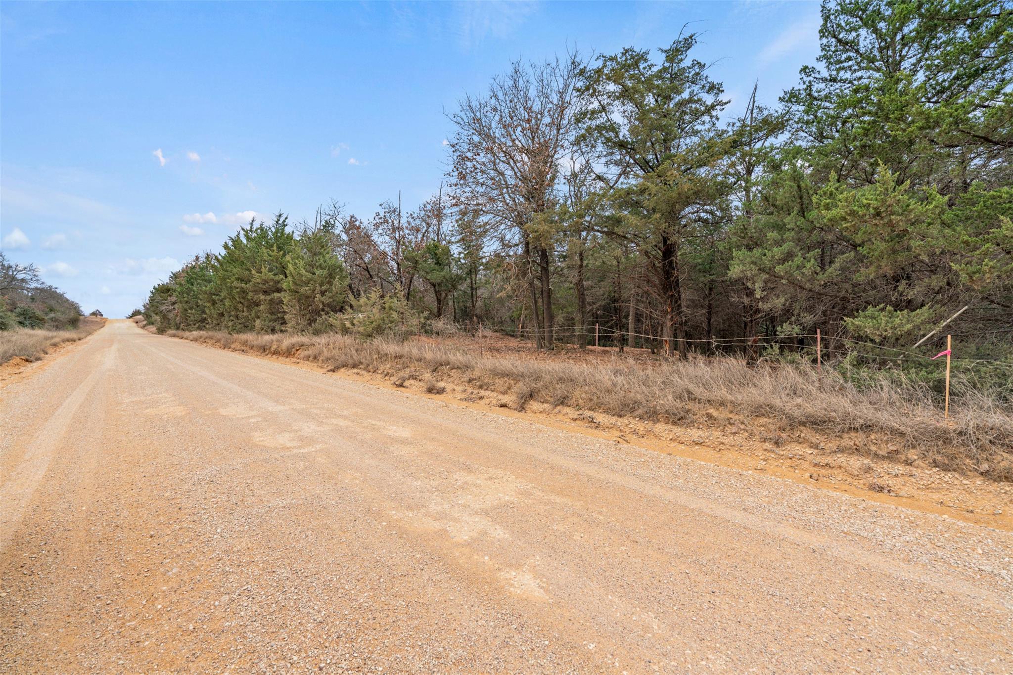 Tbd County Road 330 Milano TX 76556