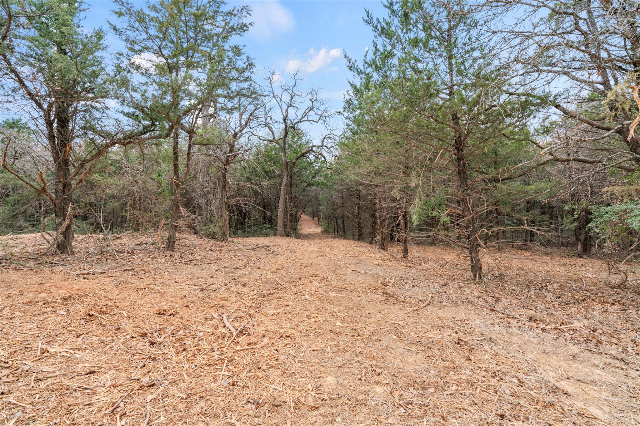 Tbd County Road 330 Milano TX 76556