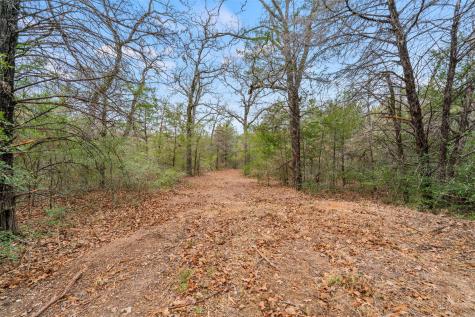 Tbd County Road 330 Milano TX 76556