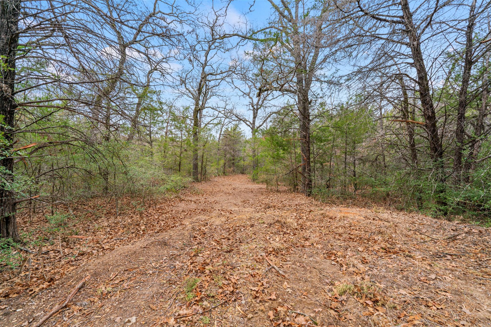 Tbd County Road 330 Milano TX 76556