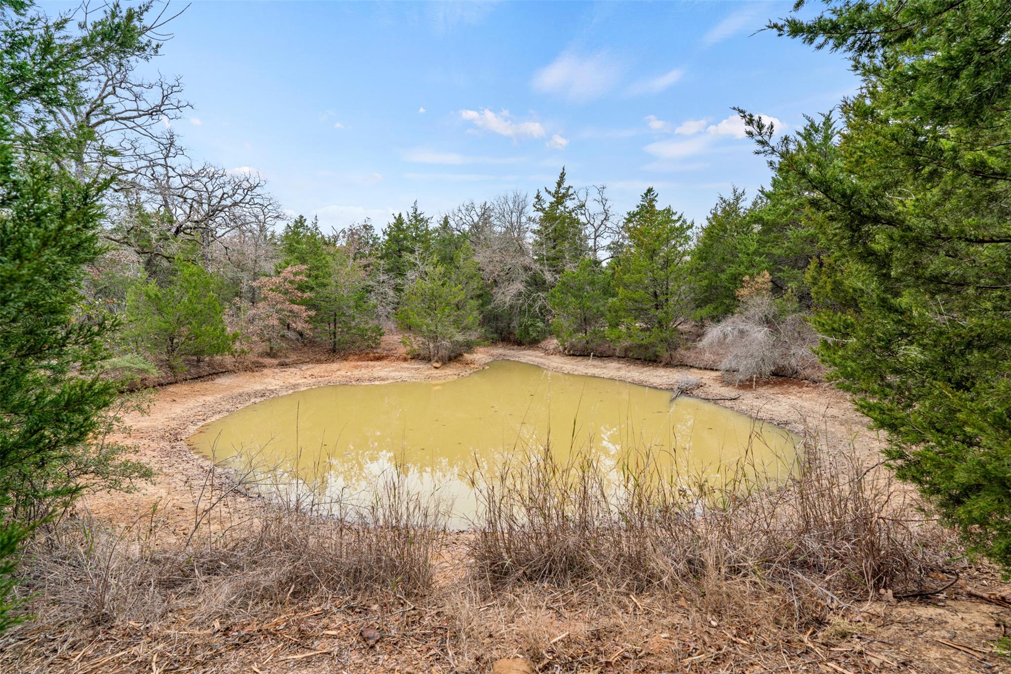 Tbd County Road 330 Milano TX 76556