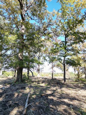 205 Serenity Drive Liberty Hill TX 78642