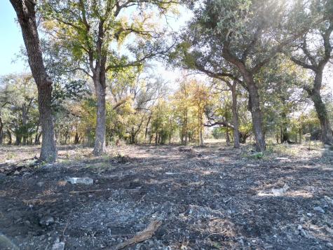 205 Serenity Drive Liberty Hill TX 78642