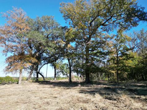 205 Serenity Drive Liberty Hill TX 78642