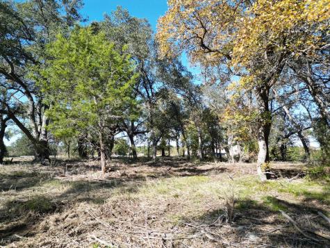 205 Serenity Drive Liberty Hill TX 78642