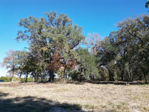 205 Serenity Drive Liberty Hill TX 78642