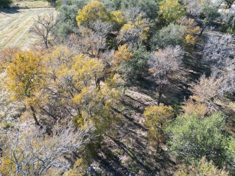 205 Serenity Drive Liberty Hill TX 78642
