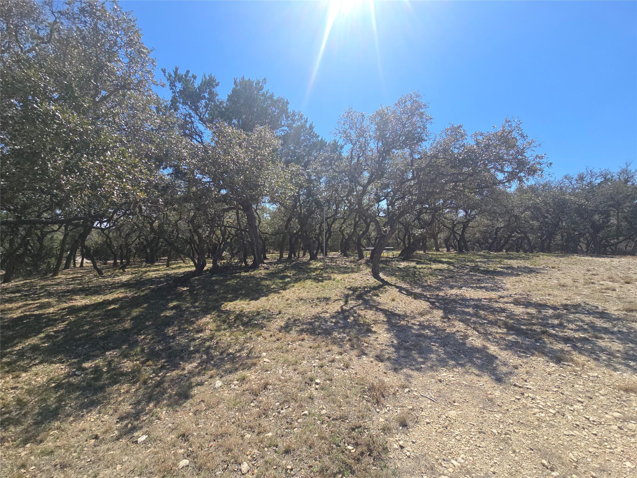 230 Bush Bok Drive Burnet TX 78611