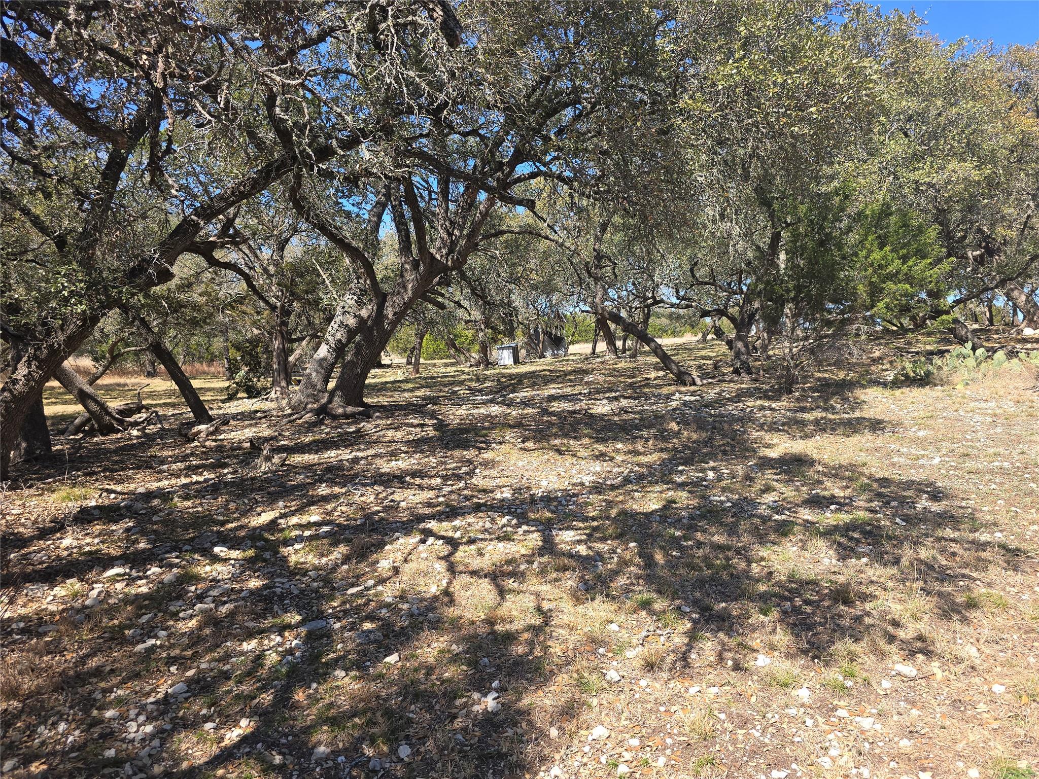 230 Bush Bok Drive Burnet TX 78611