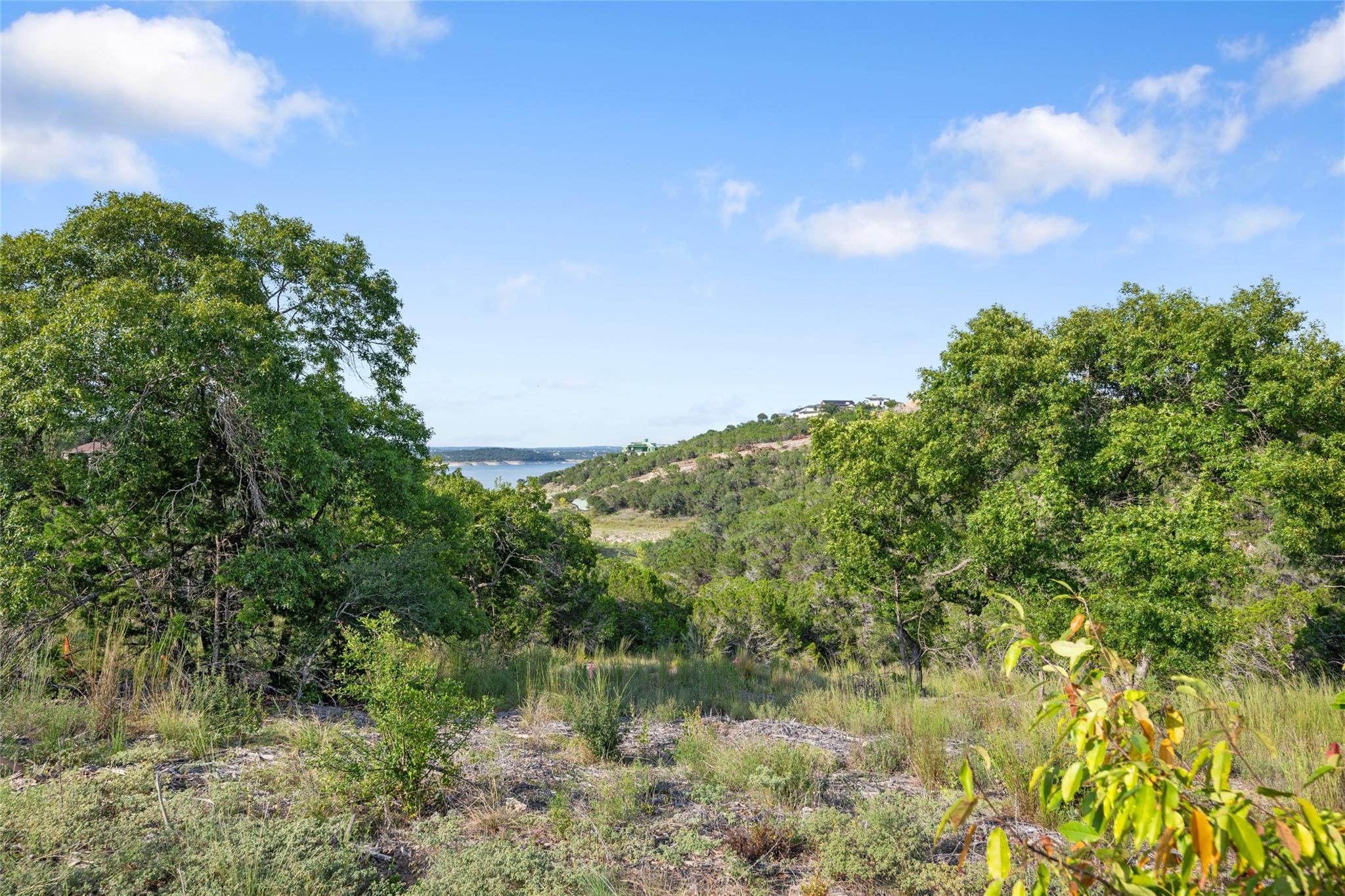 977 Tomichi Trail Lakeway TX 78738
