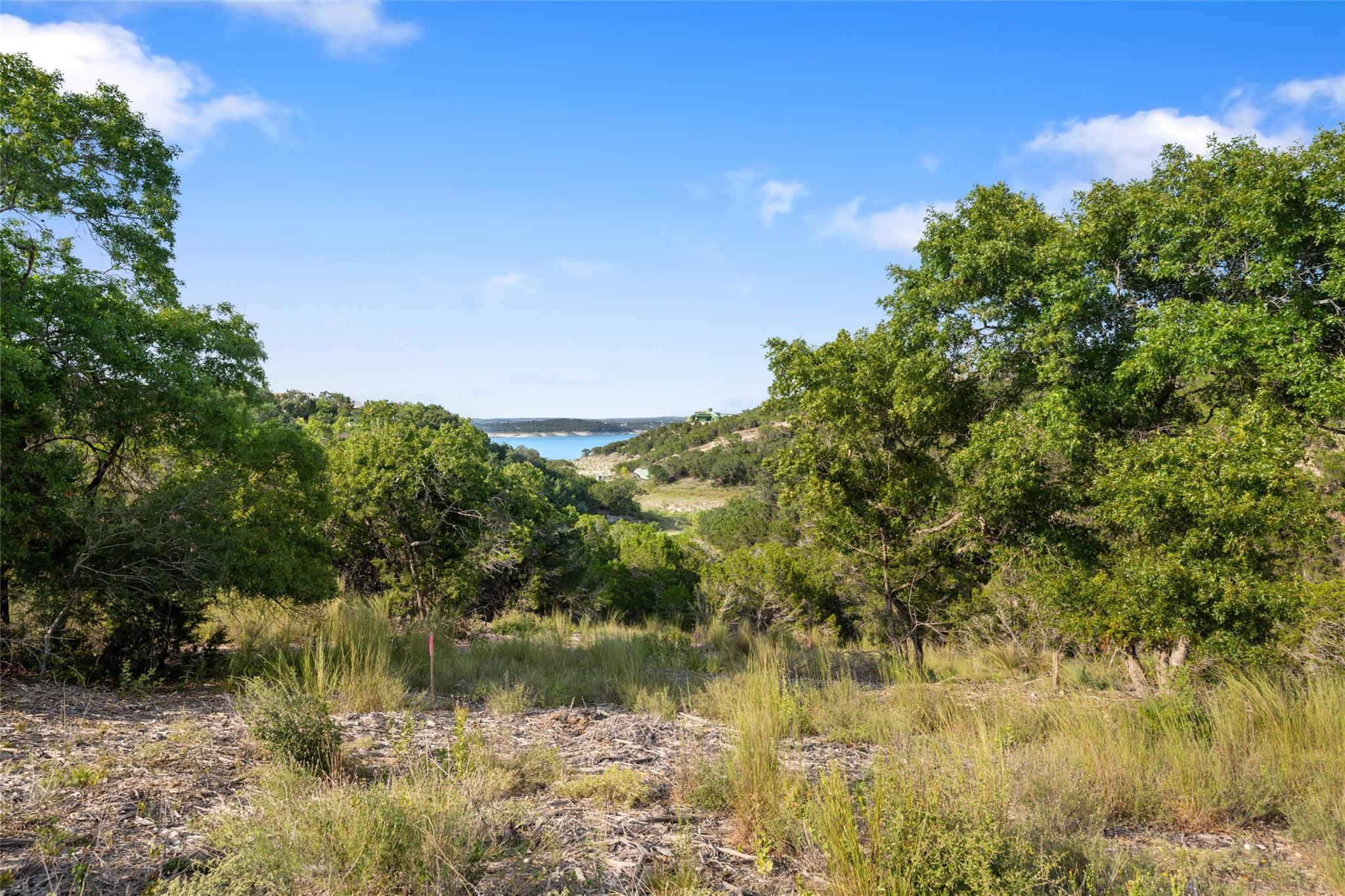 977 Tomichi Trail Lakeway TX 78738
