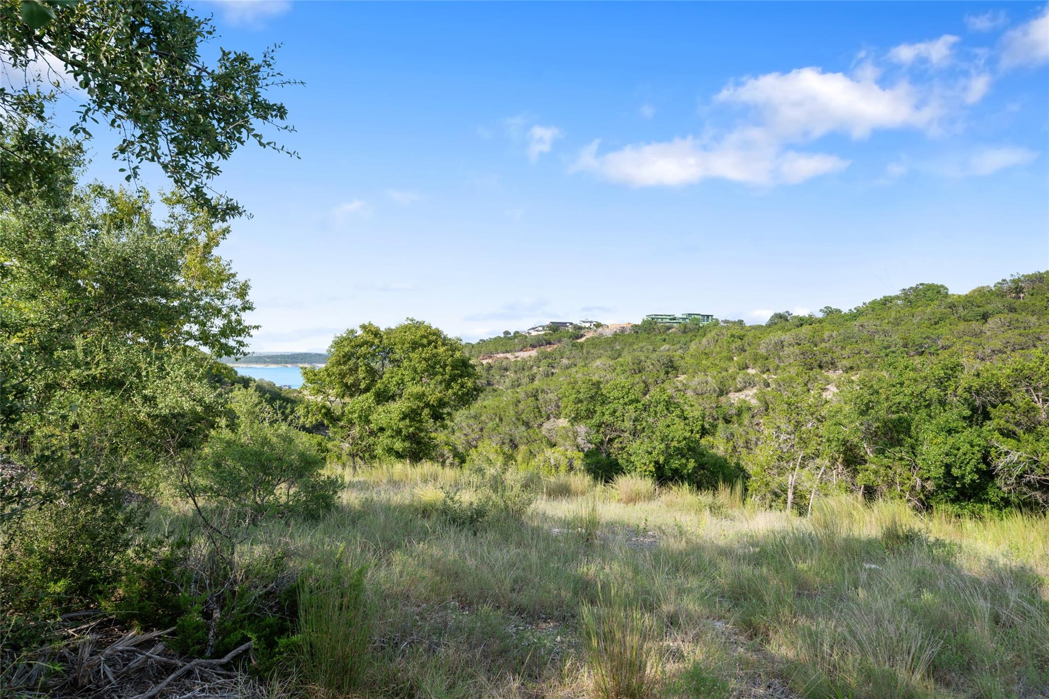 977 Tomichi Trail Lakeway TX 78738