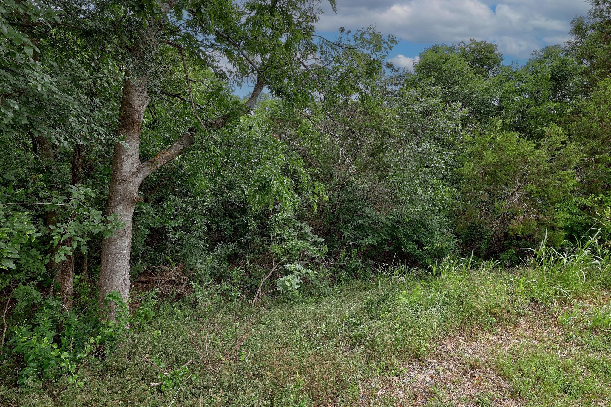 1614 San Gabriel Ranch Road Liberty Hill TX 78642