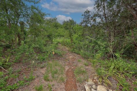1614 San Gabriel Ranch Road Liberty Hill TX 78642
