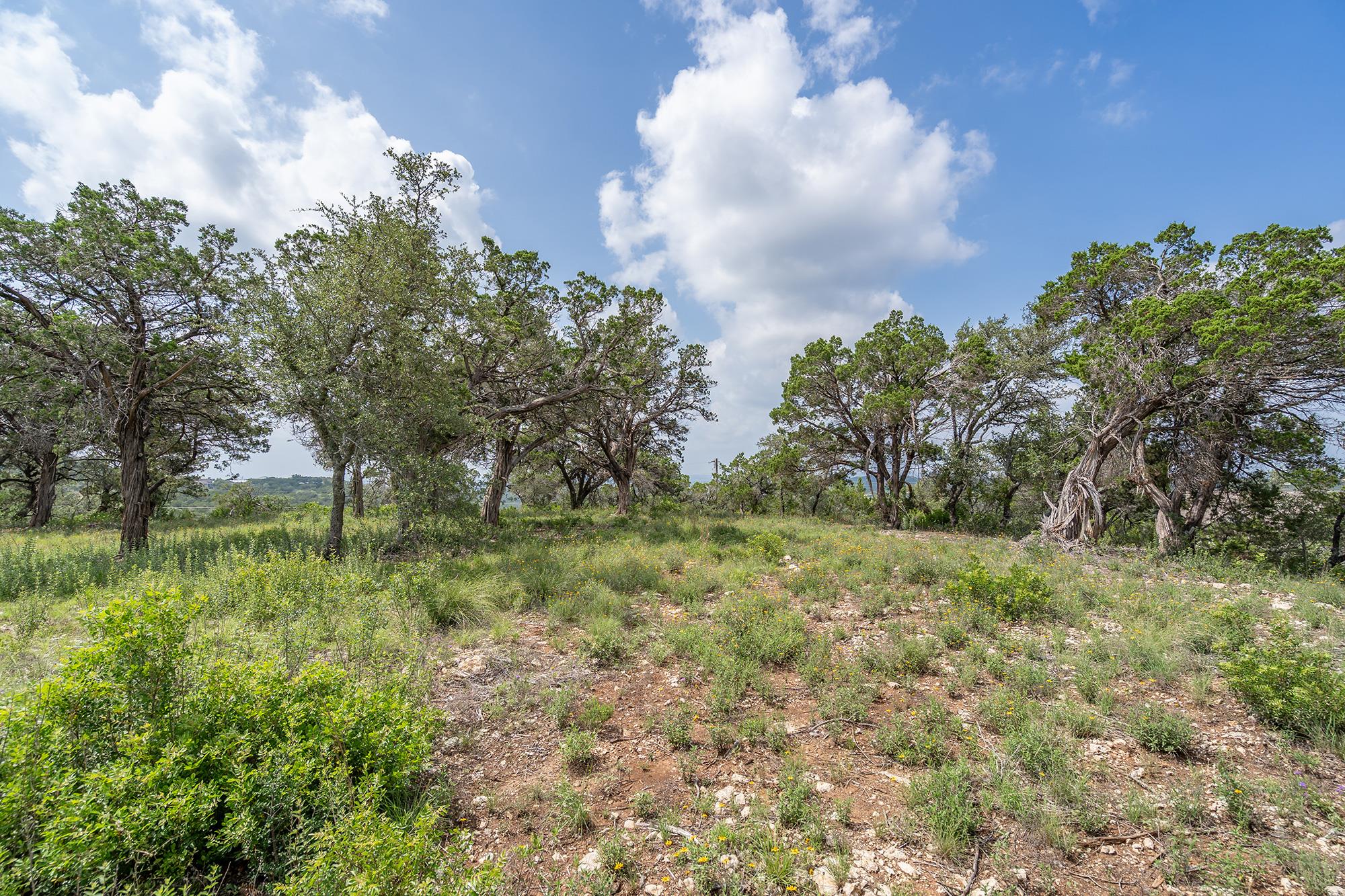 19705 Tyler Trail Jonestown TX 78645