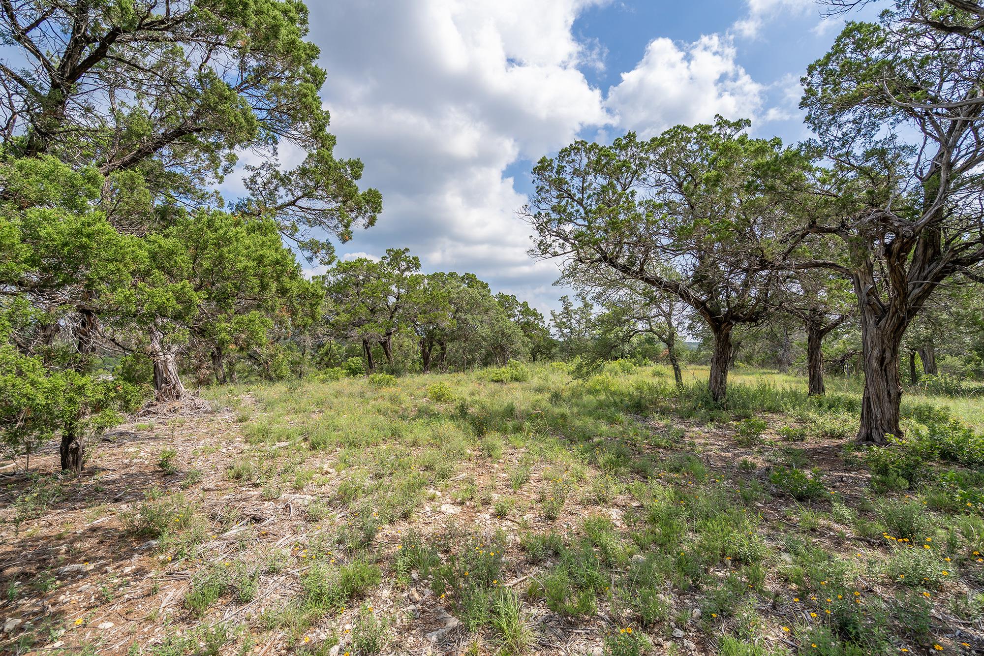19705 Tyler Trail Jonestown TX 78645