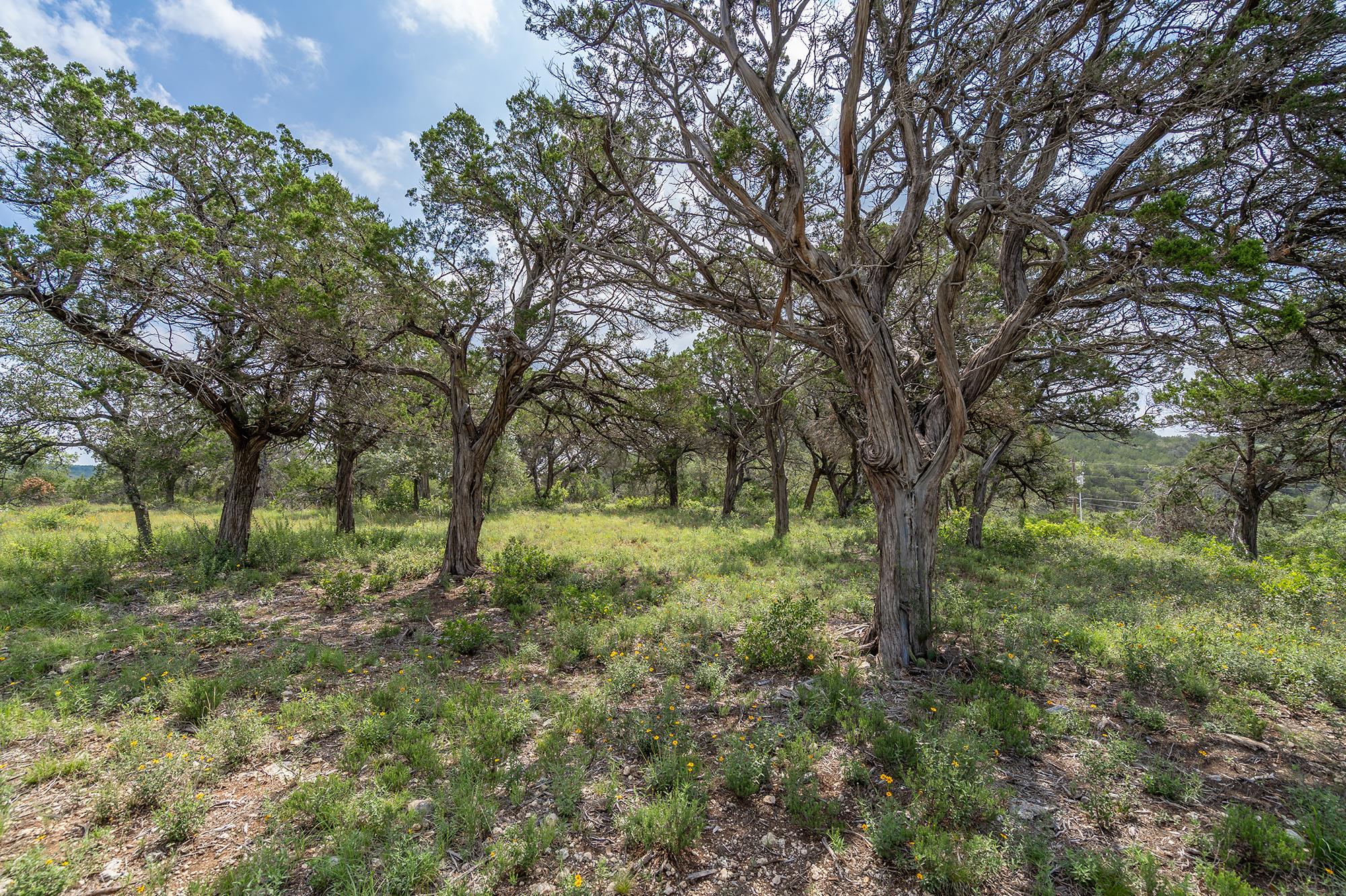 19705 Tyler Trail Jonestown TX 78645