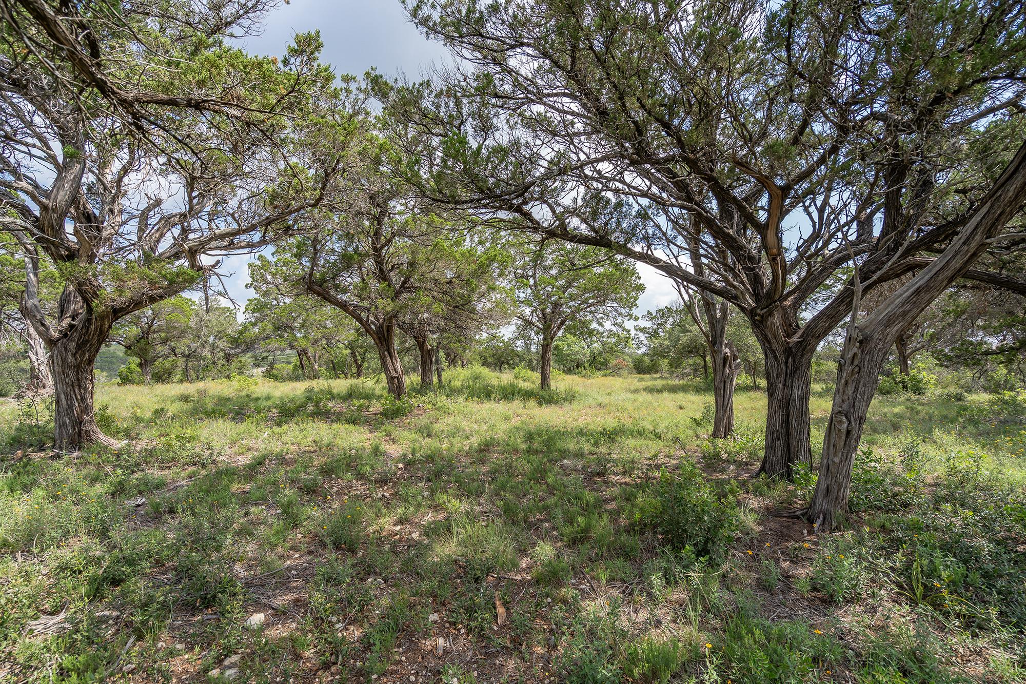 19705 Tyler Trail Jonestown TX 78645