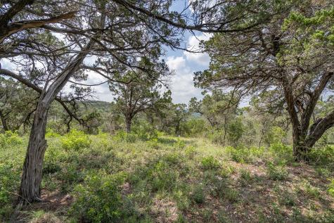 19705 Tyler Trail Jonestown TX 78645