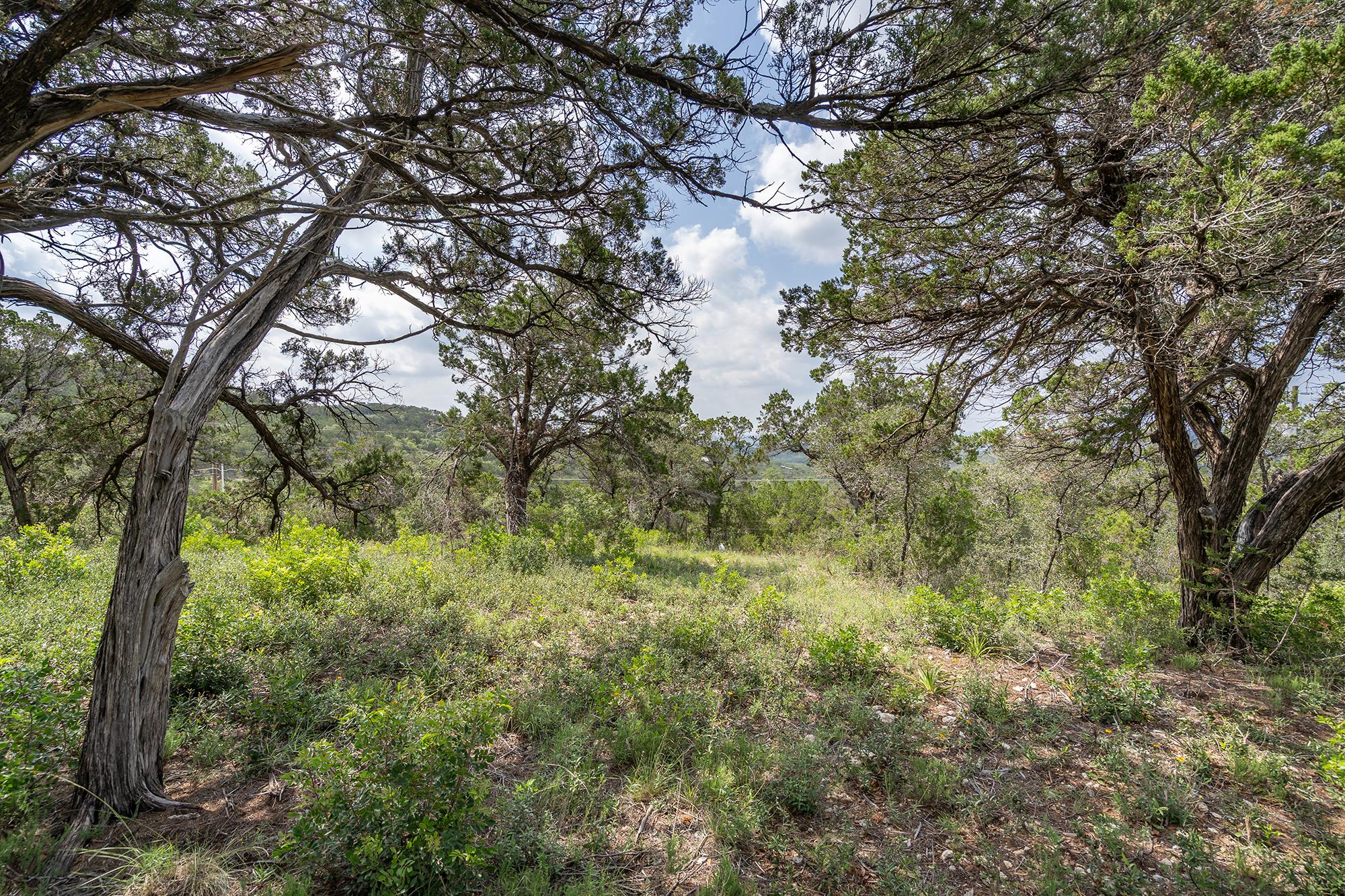 19705 Tyler Trail Jonestown TX 78645