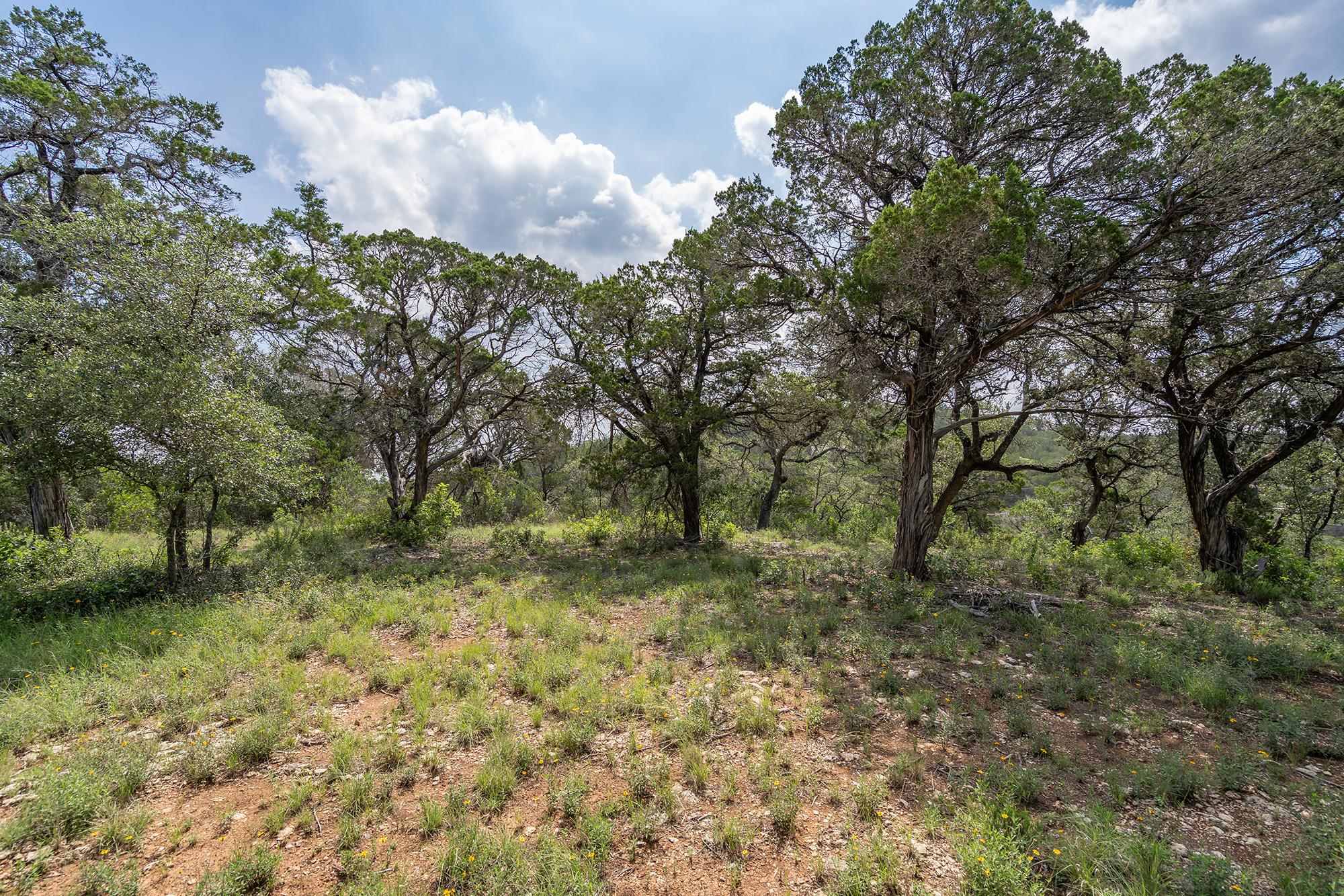 19705 Tyler Trail Jonestown TX 78645