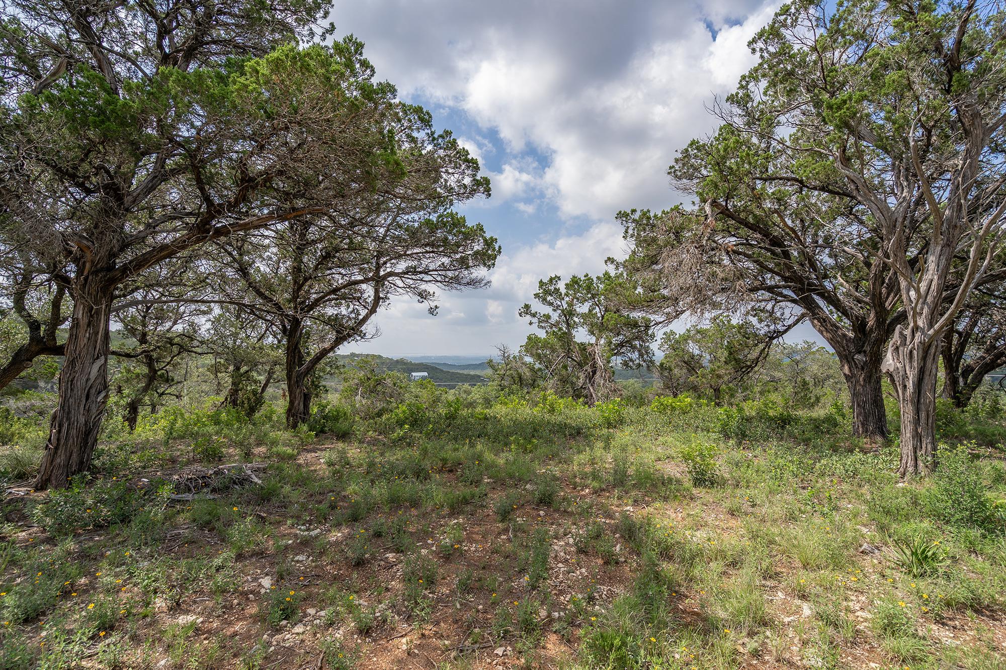 19705 Tyler Trail Jonestown TX 78645