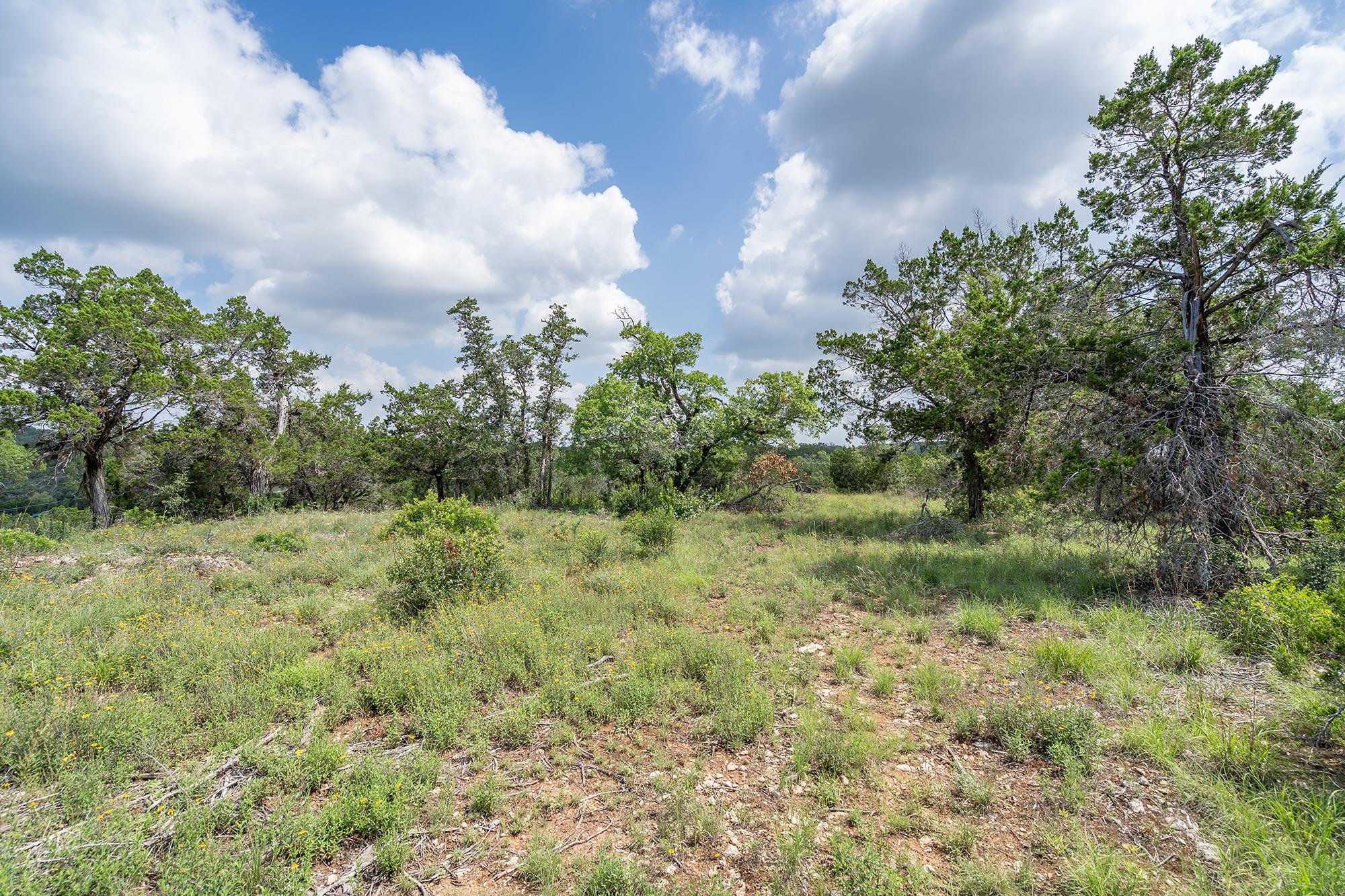 19705 Tyler Trail Jonestown TX 78645