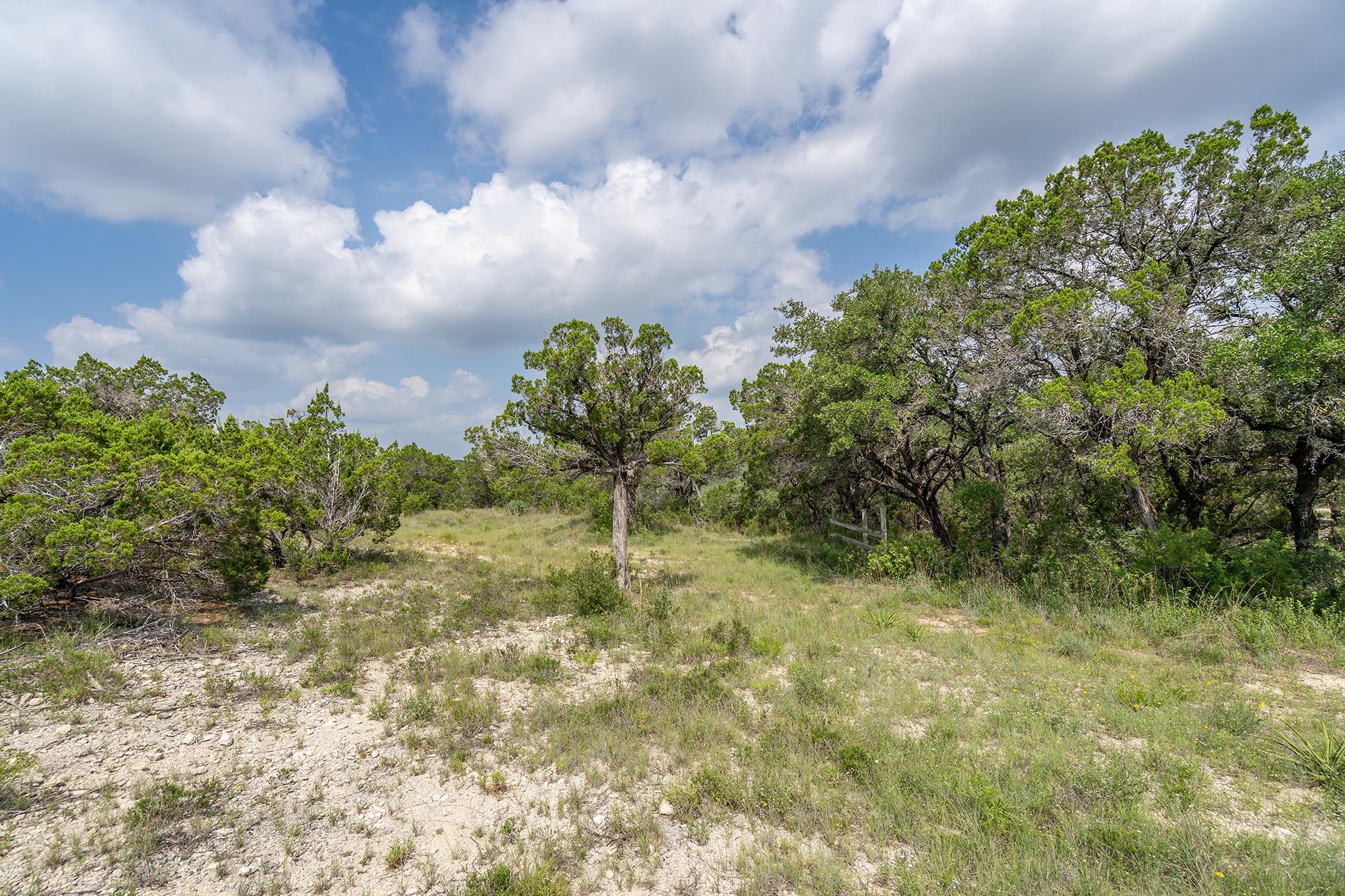 19705 Tyler Trail Jonestown TX 78645