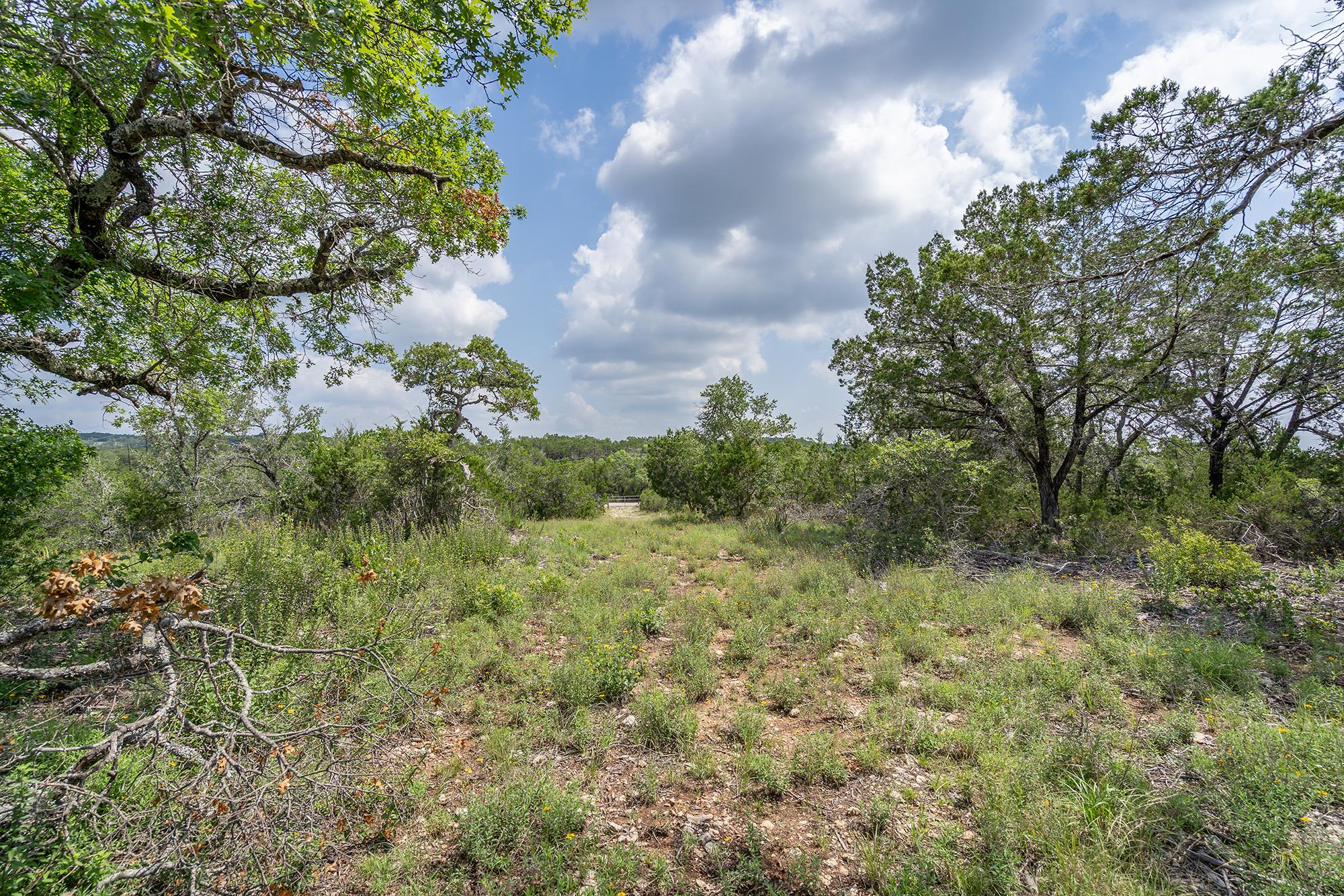 19705 Tyler Trail Jonestown TX 78645