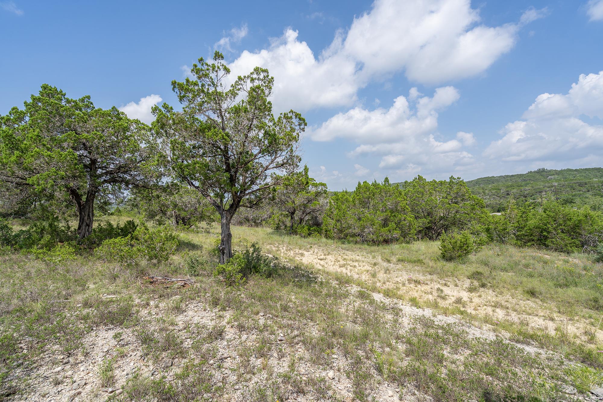 19705 Tyler Trail Jonestown TX 78645