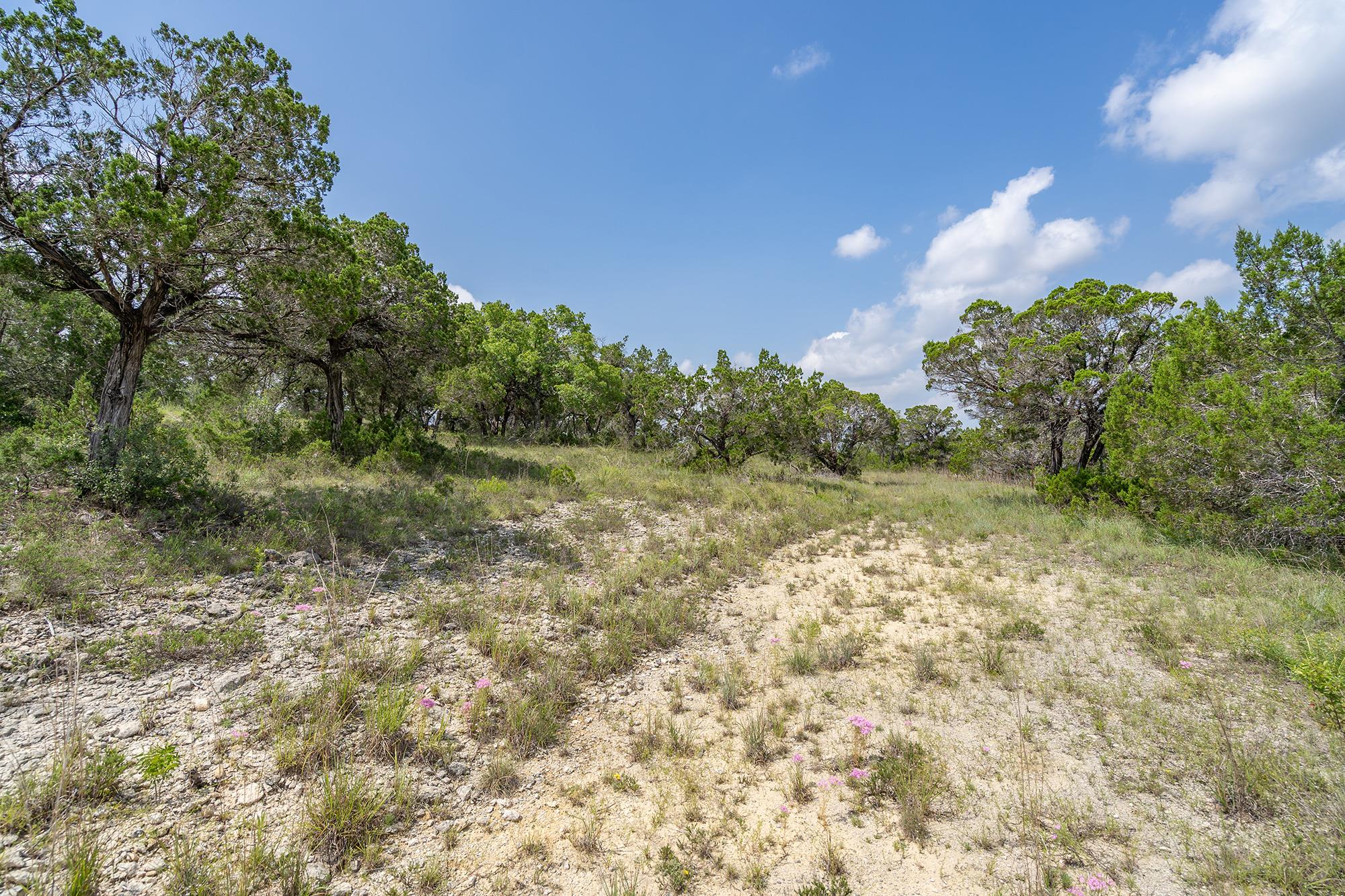 19705 Tyler Trail Jonestown TX 78645