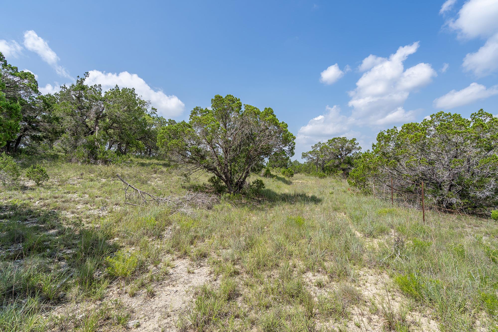19705 Tyler Trail Jonestown TX 78645