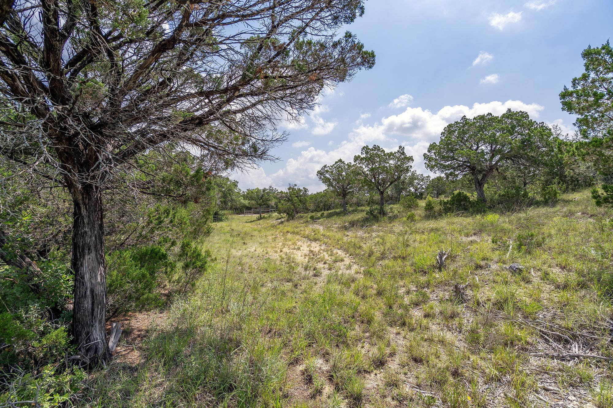 19705 Tyler Trail Jonestown TX 78645