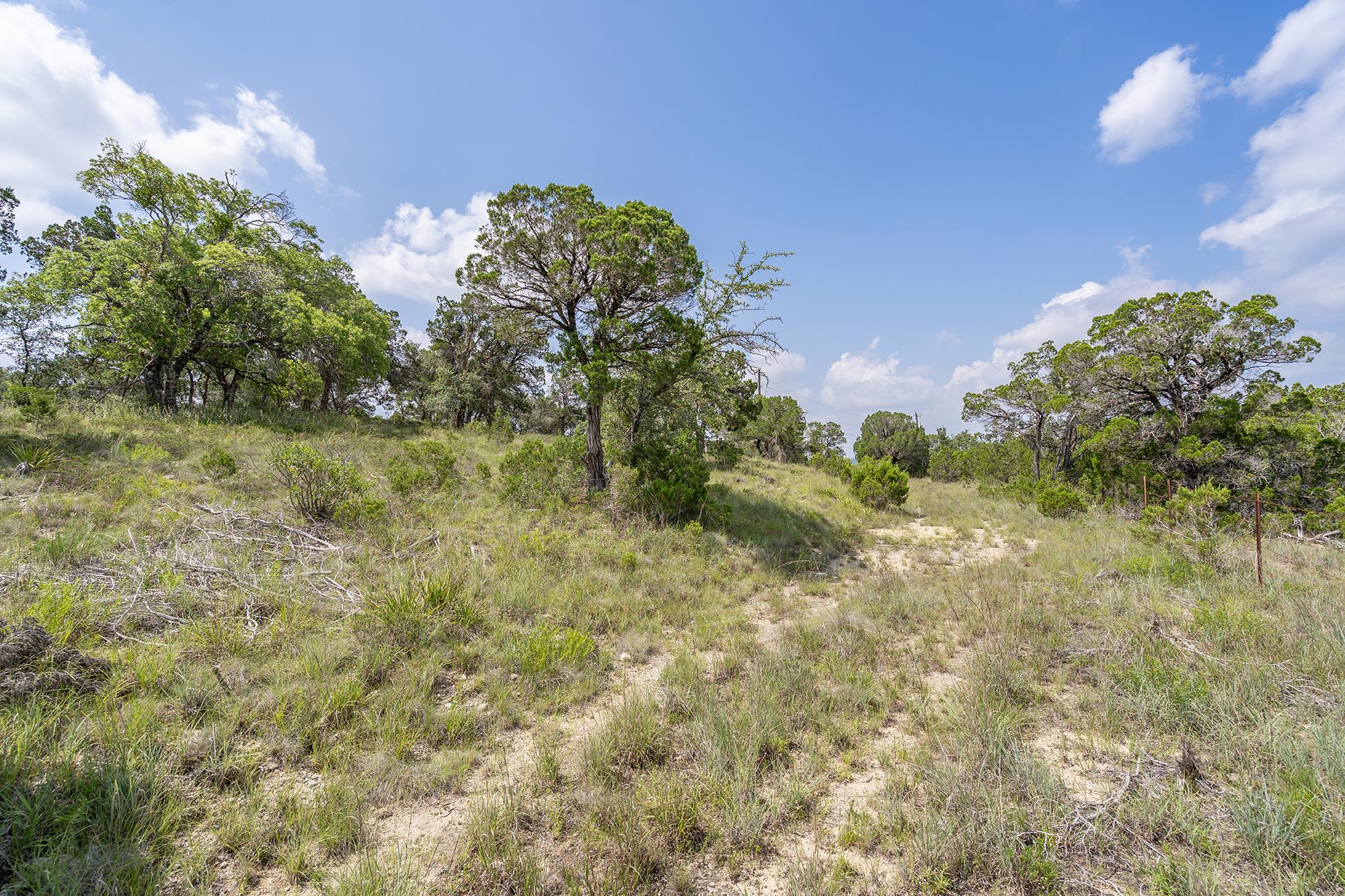 19705 Tyler Trail Jonestown TX 78645