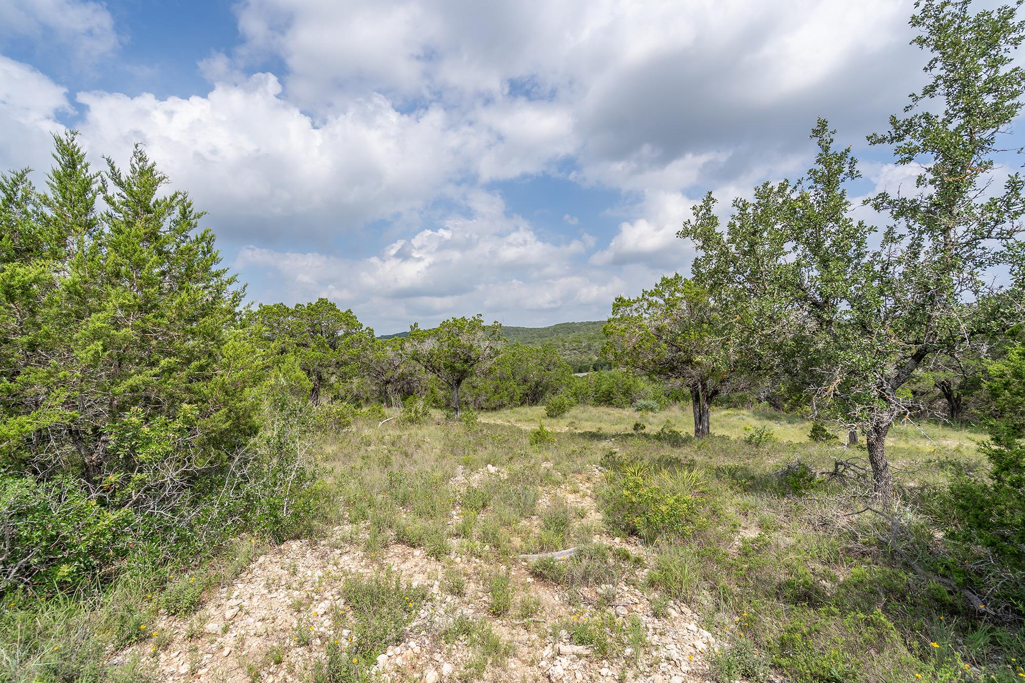 19705 Tyler Trail Jonestown TX 78645