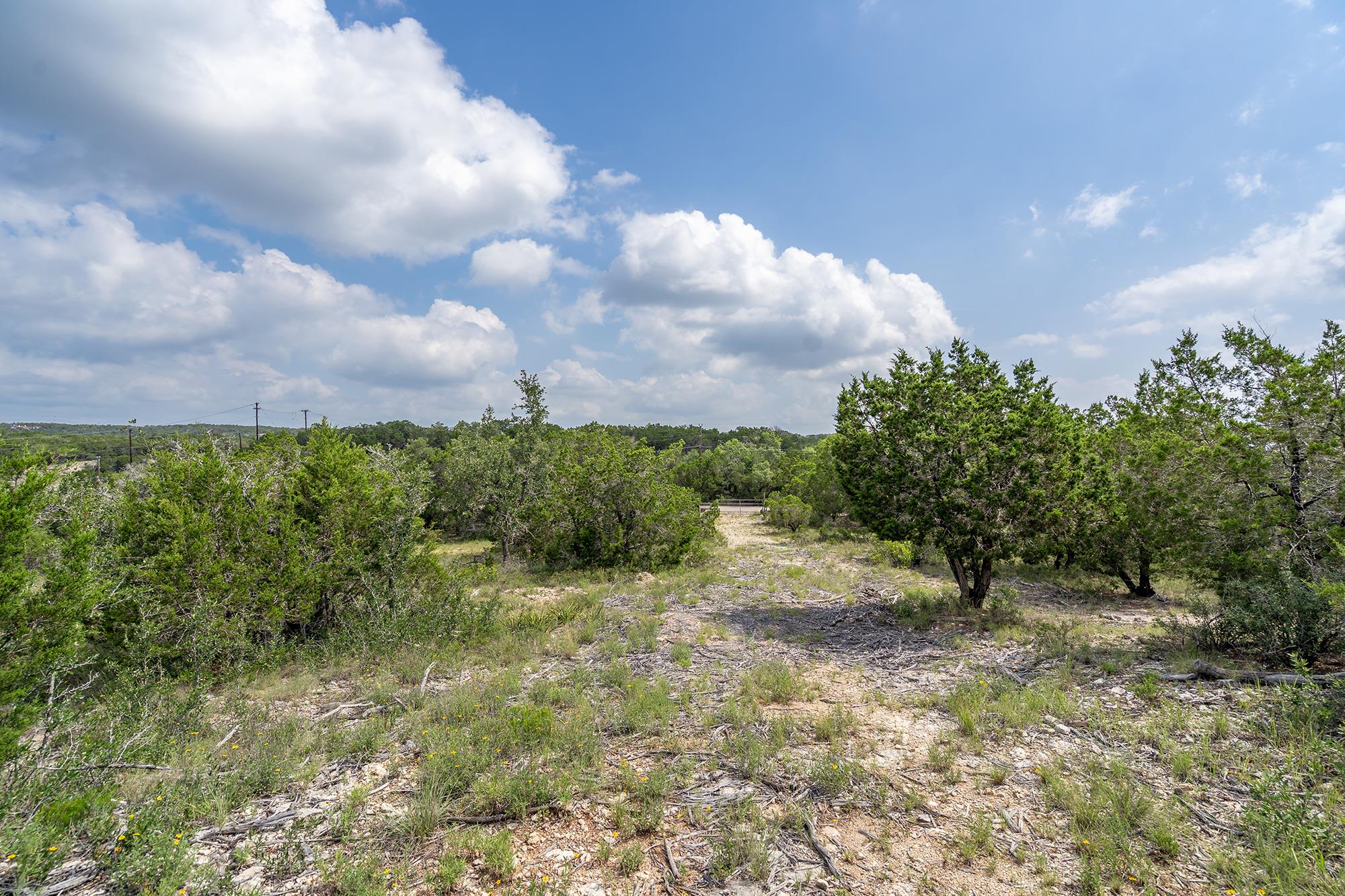 19705 Tyler Trail Jonestown TX 78645