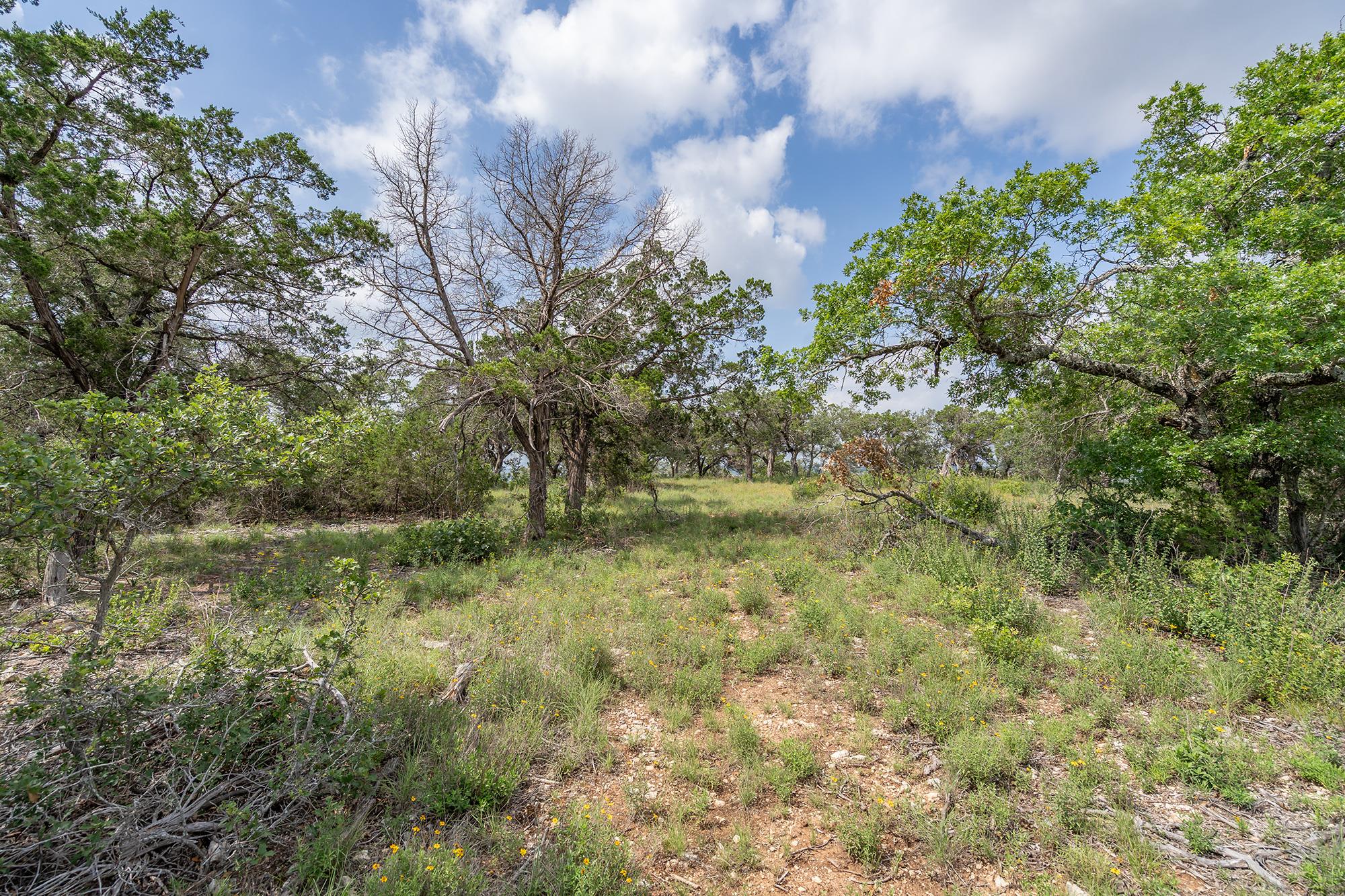 19705 Tyler Trail Jonestown TX 78645