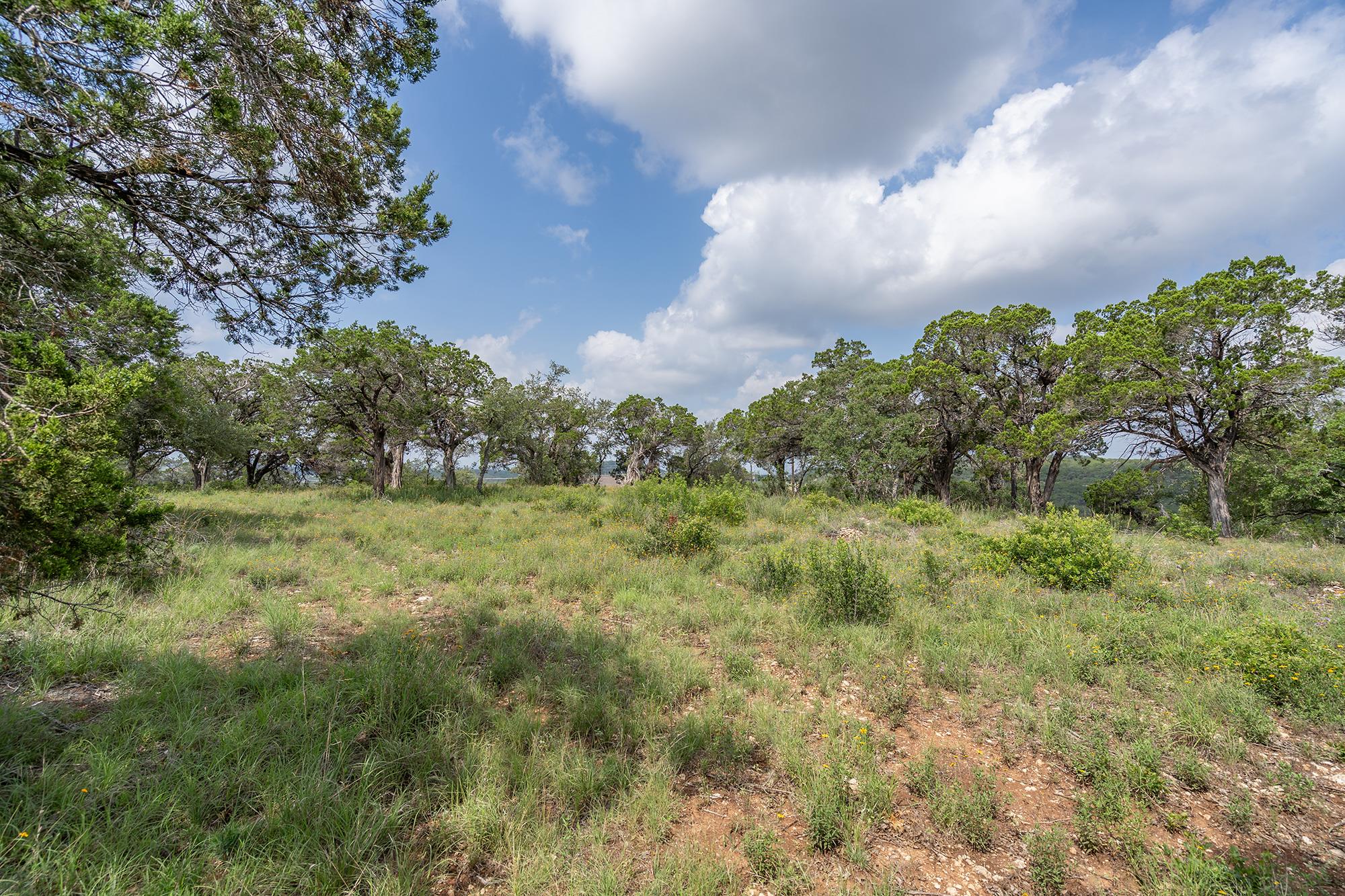 19705 Tyler Trail Jonestown TX 78645